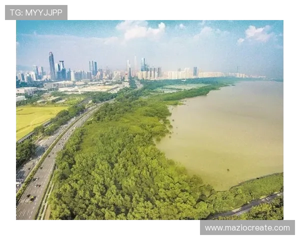 红树林娱乐:结合生态保护与娱乐休闲的创新方式,推动绿色旅游产业发展 红树林娱乐:结合生态保护与娱乐休闲的创新方式,推动绿色旅游产业发展